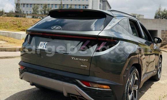 Acheter Occasion Voiture Hyundai Tucson Autre à Addis Ababa, Ethiopie Acheter Occasion Voiture Hyundai Tucson Autre à Addis Ababa, Ethiopie