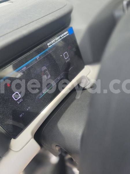 Big with watermark byd yuan pro ethiopia addis ababa 13384