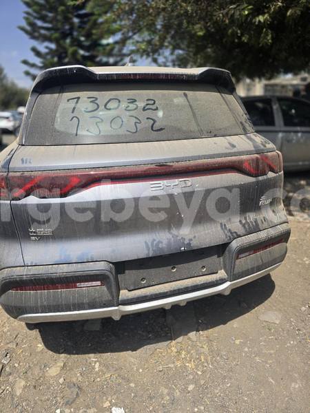 Big with watermark byd yuan pro ethiopia addis ababa 13384