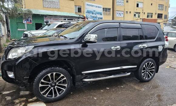 Buy Used Toyota Land Cruiser Prado Black Car in Addis ababa in Africa