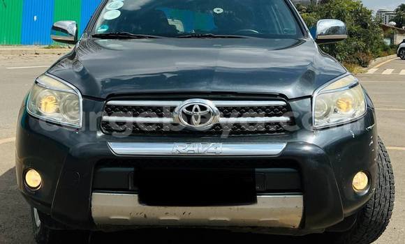 Buy Used Toyota RAV4 Other Car in Addis ababa in Africa