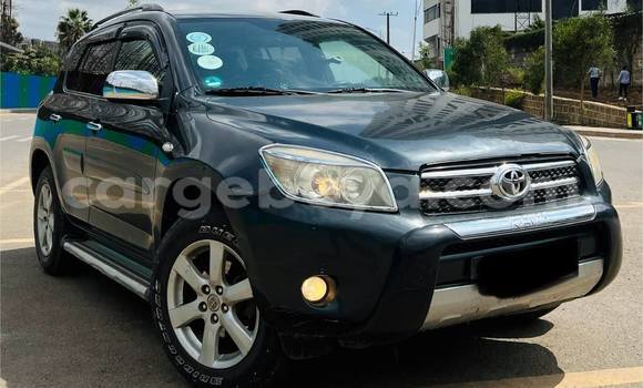 Acheter Occasion Voiture Toyota RAV4 Autre à Addis ababa, Africa Acheter Occasion Voiture Toyota RAV4 Autre à Addis ababa, Africa