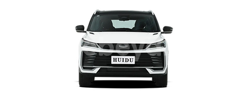 Big with watermark geely beauty leopard ethiopia boditi 13397