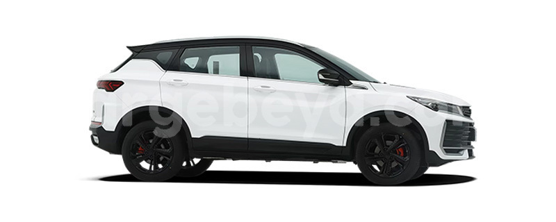 Big with watermark geely beauty leopard ethiopia boditi 13397