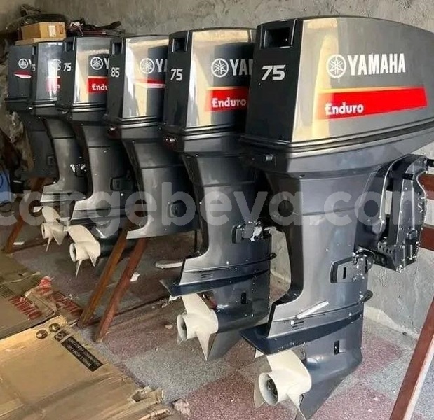 Big with watermark 75