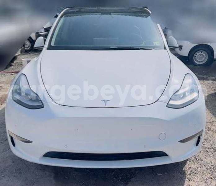 Big with watermark tesla model x africa addis ababa 13408