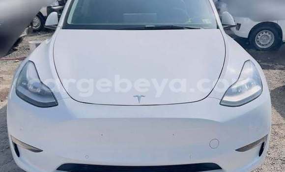 Buy Used Tesla Model X Other Car in Addis ababa in Africa