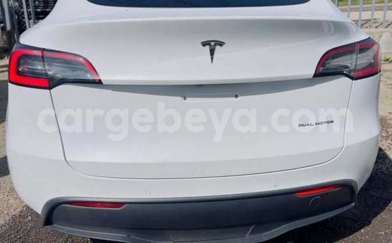 Big with watermark tesla model x africa addis ababa 13408