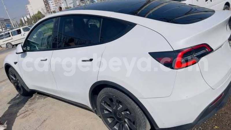 Big with watermark tesla model x africa addis ababa 13408
