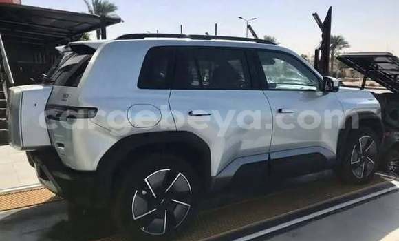 Buy Used BYD Leopard 5 Other Car in Addis–Ababa in Ethiopia