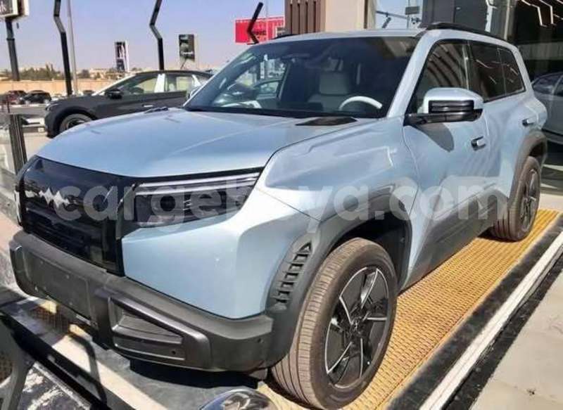 Big with watermark byd leopard 5 ethiopia addis ababa 13410