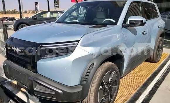 Buy Used BYD Leopard 5 Other Car in Addis–Ababa in Ethiopia Buy Used BYD Leopard 5 Other Car in Addis–Ababa in Ethiopia