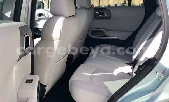 Buy Used BYD Leopard 5 Other Car in Addis–Ababa in Ethiopia Buy Used BYD Leopard 5 Other Car in Addis–Ababa in Ethiopia