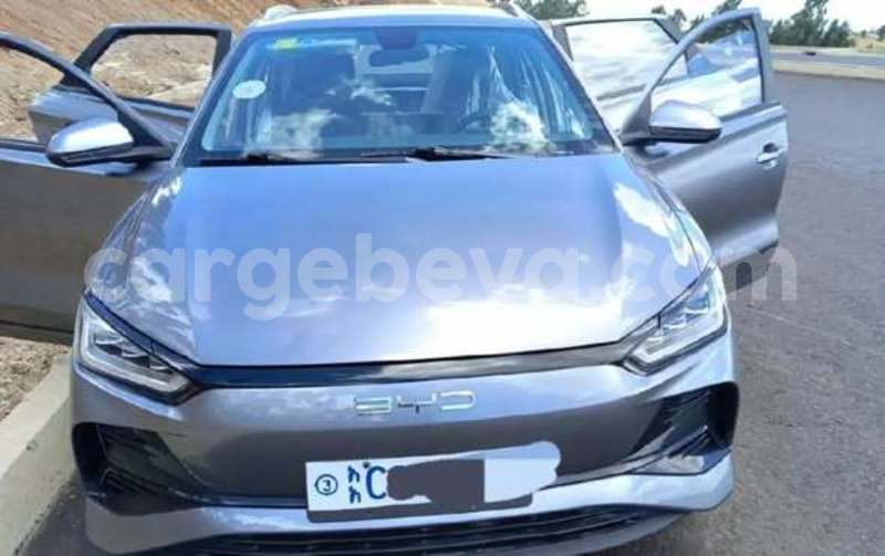 Big with watermark byd e6 africa addis ababa 13414