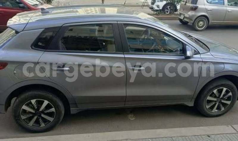 Big with watermark byd e6 africa addis ababa 13414