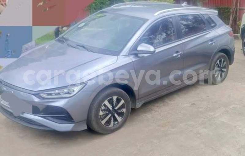 Big with watermark byd e6 africa addis ababa 13414