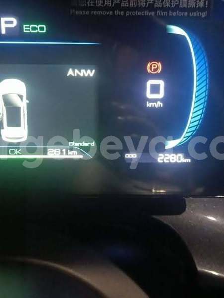 Big with watermark byd e6 africa addis ababa 13414