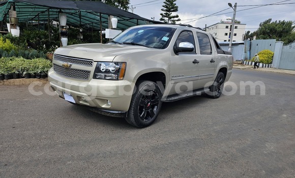 Buy Used Chevrolet Avalanche Other Car in Addis–Ababa in Ethiopia Buy Used Chevrolet Avalanche Other Car in Addis–Ababa in Ethiopia