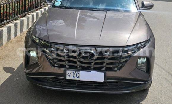Buy Used Hyundai Tucson Other Car in Addis ababa in Africa