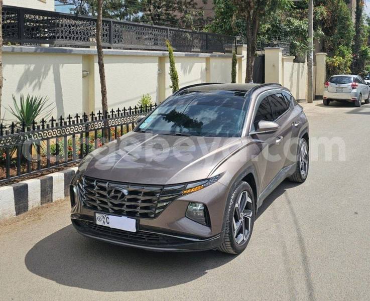 Big with watermark hyundai tucson africa addis ababa 13441