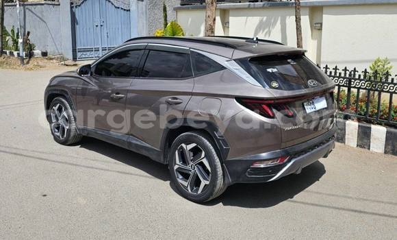 Buy Used Hyundai Tucson Other Car in Addis ababa in Africa Buy Used Hyundai Tucson Other Car in Addis ababa in Africa