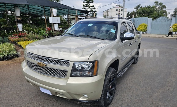 Buy Used Chevrolet Avalanche Other Car in Addis–Ababa in Ethiopia