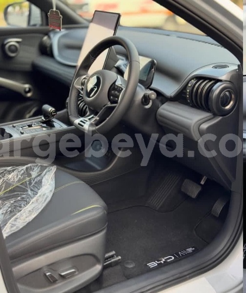 Big with watermark byd atto3 africa addis ababa 13461