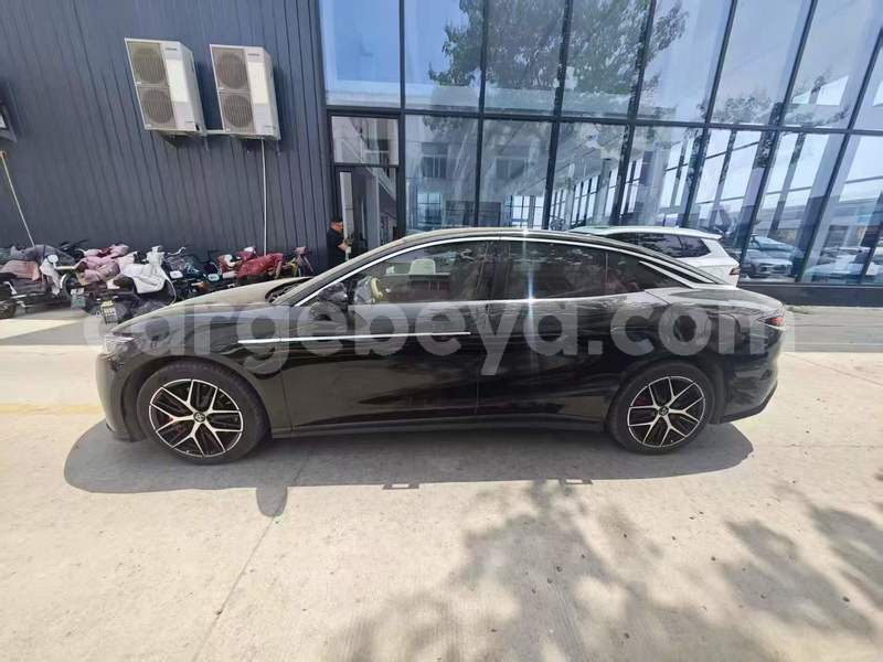 Big with watermark byd qin l africa addis ababa 13464
