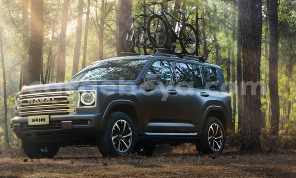 Buy New Haval H9 Black Car in Debark’ in Ethiopia