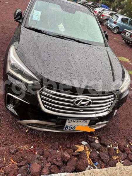 Big with watermark hyundai santa fe africa addis ababa 13489
