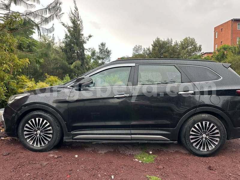 Big with watermark hyundai santa fe africa addis ababa 13489