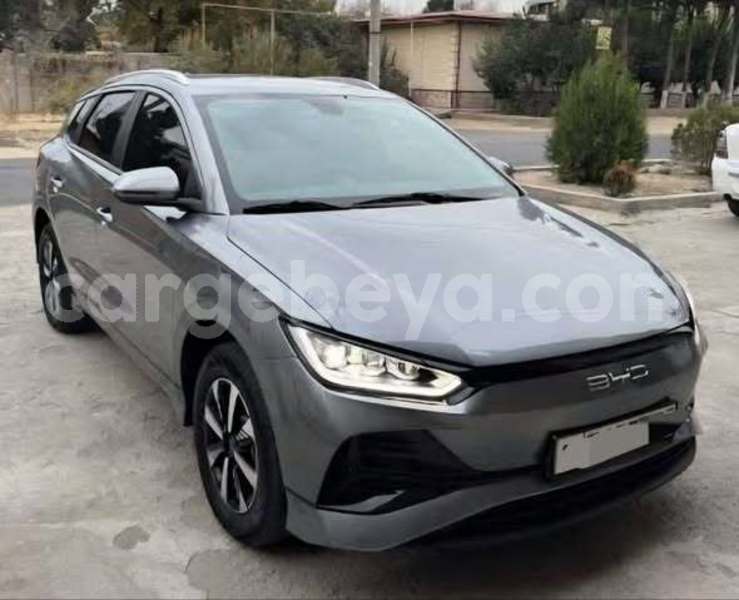 Big with watermark byd e6 africa addis ababa 13493