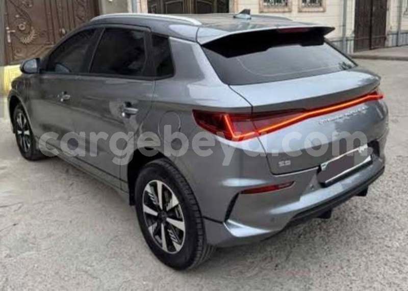 Big with watermark byd e6 africa addis ababa 13493