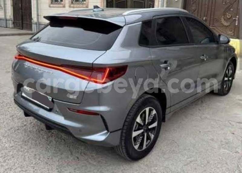 Big with watermark byd e6 africa addis ababa 13493