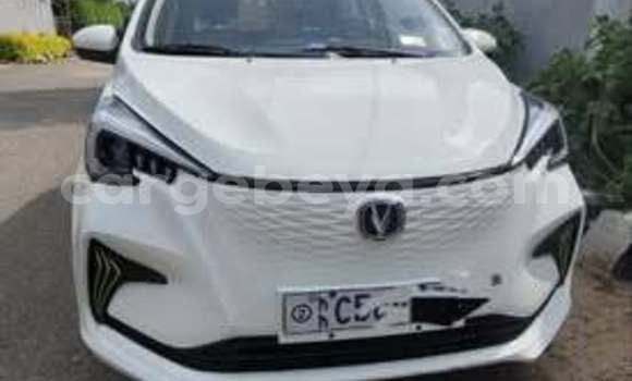 Buy Used Changan Eado Other Car in Addis–Ababa in Ethiopia Buy Used Changan Eado Other Car in Addis–Ababa in Ethiopia
