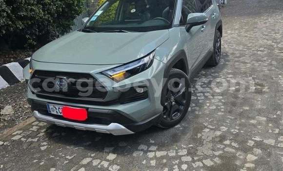 Buy Used Toyota RAV4 Other Car in Addis–Ababa in Ethiopia