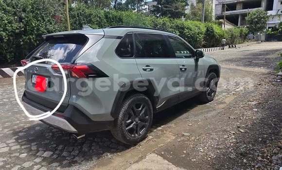 Buy Used Toyota RAV4 Other Car in Addis–Ababa in Ethiopia Buy Used Toyota RAV4 Other Car in Addis–Ababa in Ethiopia