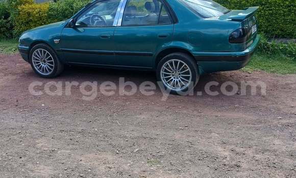 Buy Used Toyota Corolla Green Car in Addis ababa in Africa Buy Used Toyota Corolla Green Car in Addis ababa in Africa