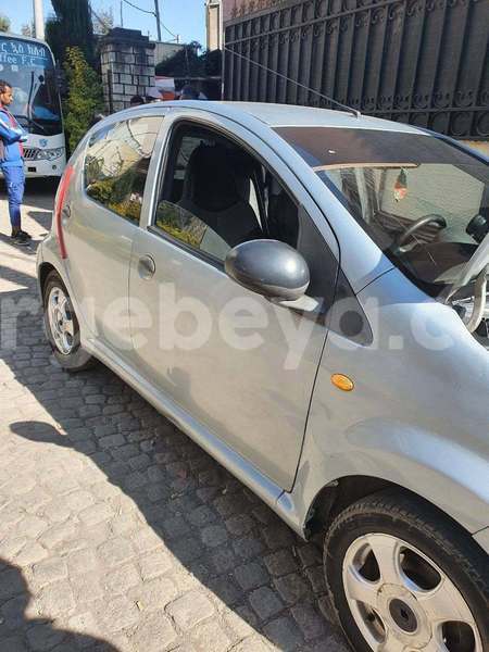 Big with watermark byd f5 ethiopia addis ababa 13522