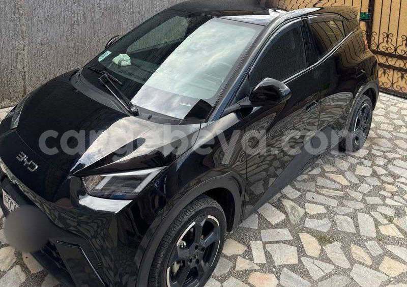Big with watermark byd seagull ethiopia addis ababa 13533
