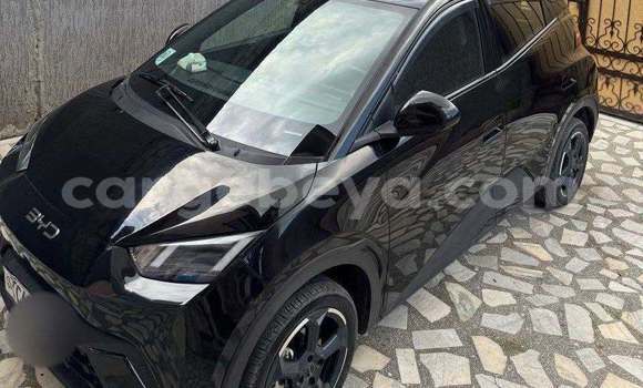 Buy Used BYD Seagull Black Car in Addis–Ababa in Ethiopia