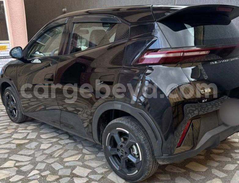 Big with watermark byd seagull ethiopia addis ababa 13533