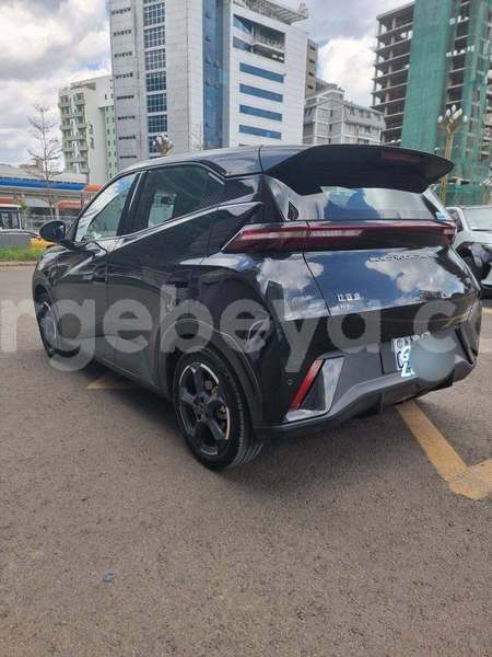 Big with watermark byd seagull ethiopia addis ababa 13533