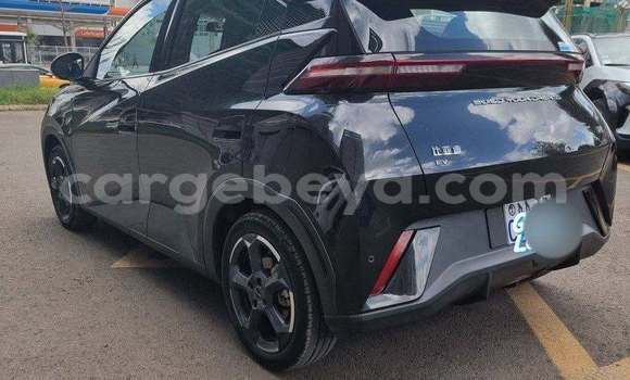 Buy Used BYD Seagull Black Car in Addis–Ababa in Ethiopia Buy Used BYD Seagull Black Car in Addis–Ababa in Ethiopia