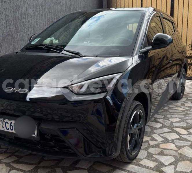 Big with watermark byd seagull ethiopia addis ababa 13533