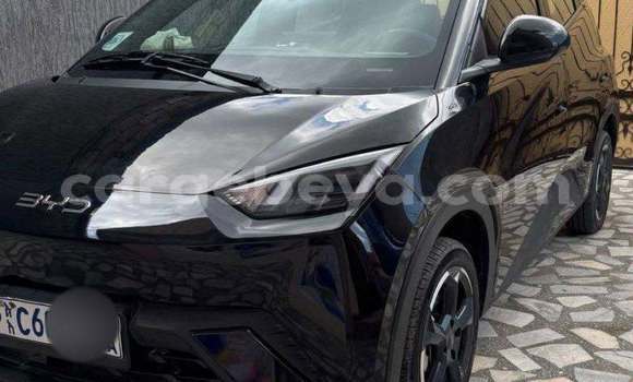 Buy Used BYD Seagull Black Car in Addis–Ababa in Ethiopia Buy Used BYD Seagull Black Car in Addis–Ababa in Ethiopia