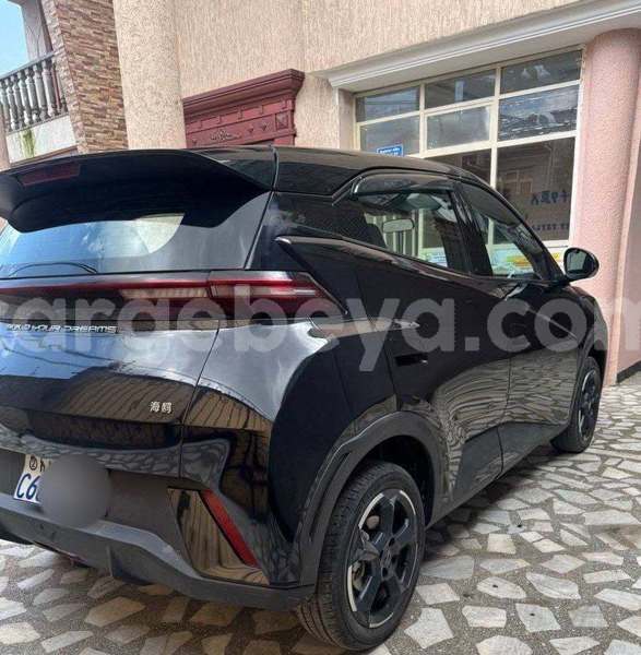 Big with watermark byd seagull ethiopia addis ababa 13533