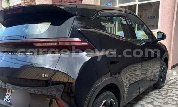 Buy Used BYD Seagull Black Car in Addis–Ababa in Ethiopia Buy Used BYD Seagull Black Car in Addis–Ababa in Ethiopia