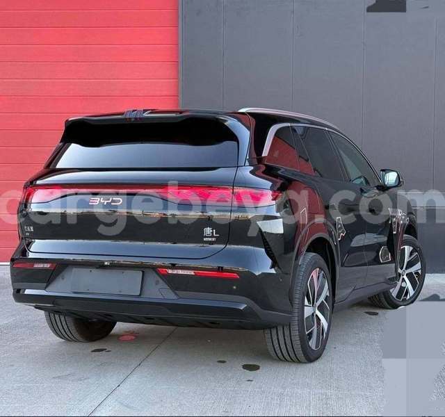 Big with watermark byd f5 ethiopia addis ababa 13534