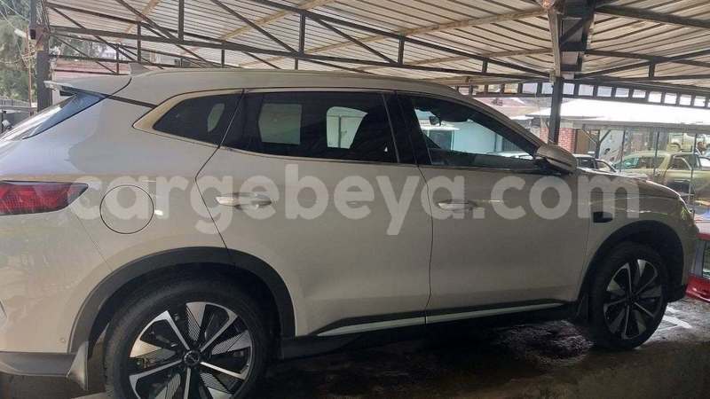 Big with watermark byd g6 ethiopia addis ababa 13535